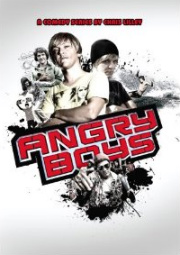 Angry Boys Cover