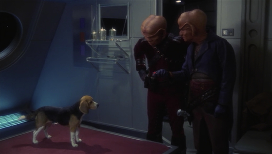 Also, there's a dog. The Ferengi have a scene with the dog. This is Star Trek.