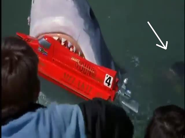 The man behind the sharky curtain