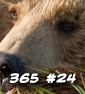 365 Days of Sci-Fi #24