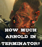 TERMINATOR May Go The Sidequel Route With Less Schwarzenegger, More Paul Walker