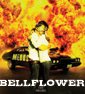 Another Beautiful BELLFLOWER Poster