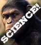 Renn Talks To An APE SCIENTIST