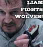 LIAM NEESON Is Going To Fist Fight A Wolf In THE GREY