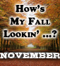 HOW'S MY FALL LOOKIN: November 2011