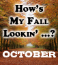 HOW'S MY FALL LOOKIN: October
