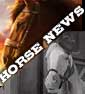 HORSE NEWS! New (Beautiful) Trailer For WAR HORSE, Fox Bringing Back MR. ED