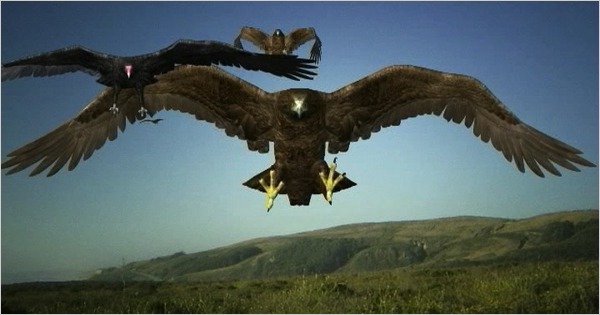 BIRDEMIC 2 Trailer: "There's Never Been a Movie Made from the Indie Perspective"