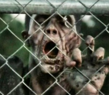 THUD REVIEW: THE WALKING DEAD 3.13 – "ARROW ON THE DOORPOST"