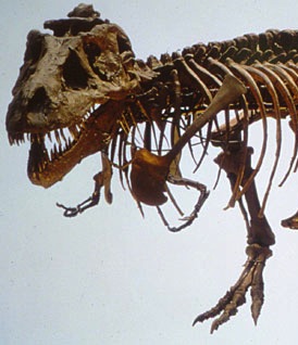Imagine THE PRESTIGE With Paleontologists… Gandolfini & Carell Are Making That Movie At HBO