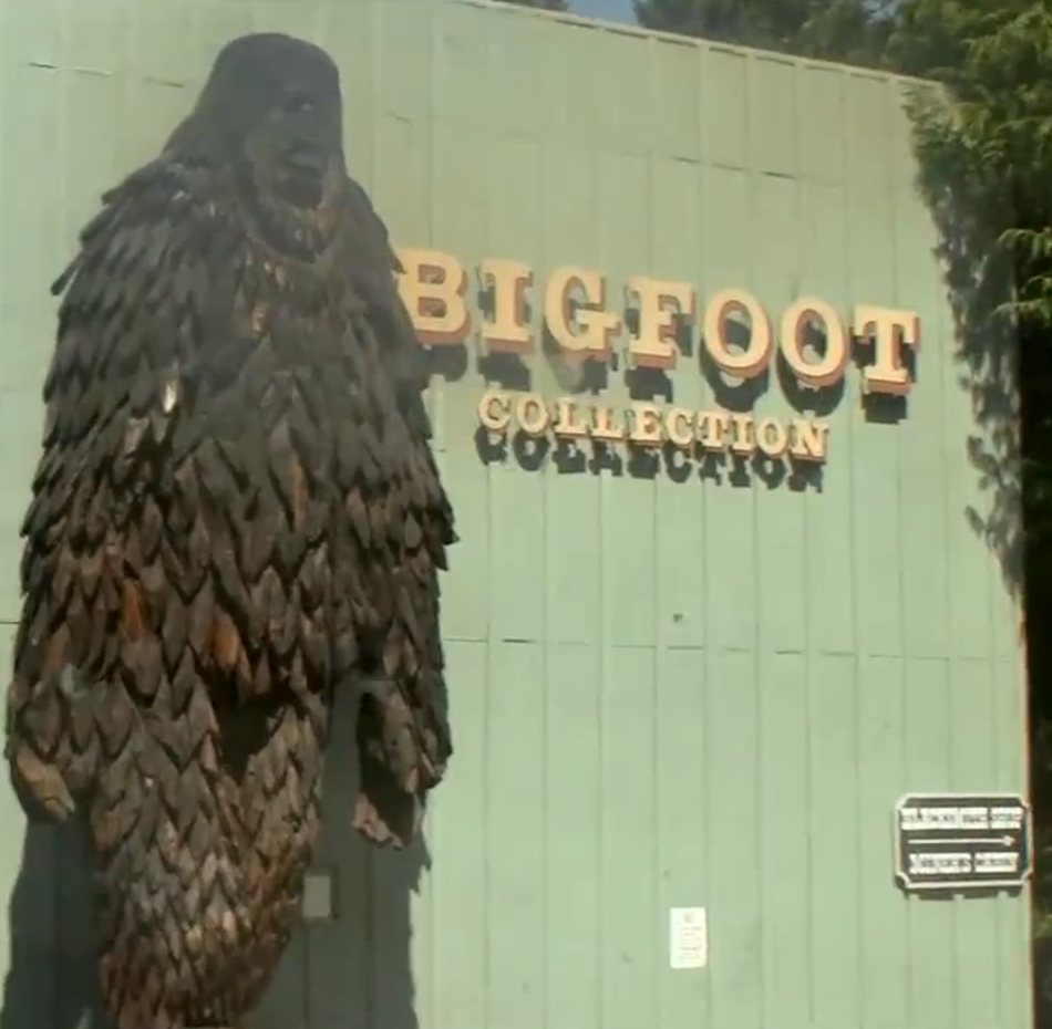 Bigfoot-Based Found-Footage Horror Film: Bobcat Goldthwait's WILLOW CREEK Trailer