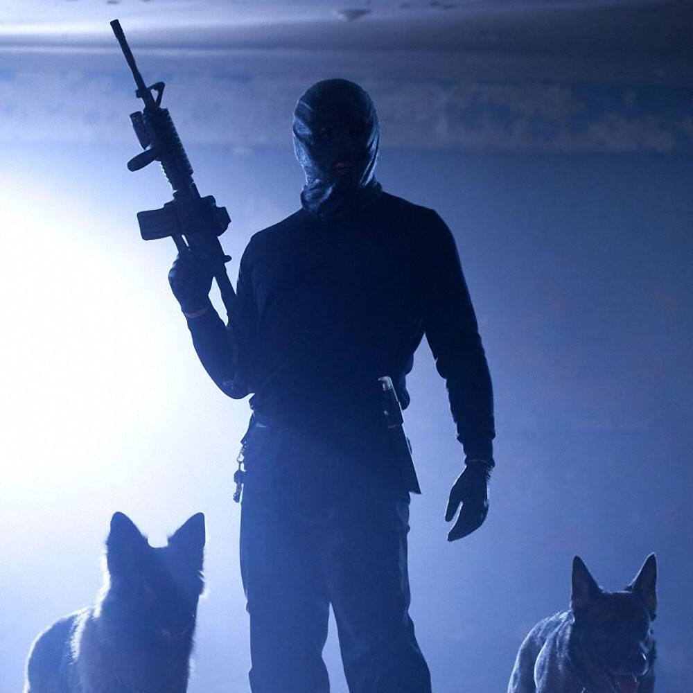 BLU-RAY REVIEW: THE COLLECTION