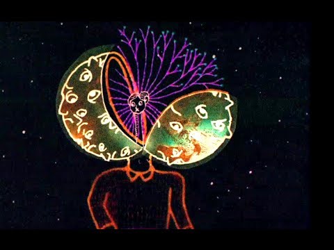 Michel Gondry Made An Animated Noam Chomsky Documentary