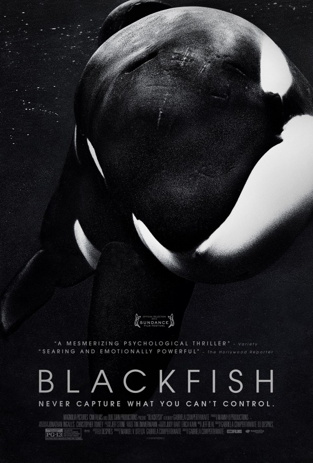 BLACKFISH Is Still Causing Pain For SeaWorld