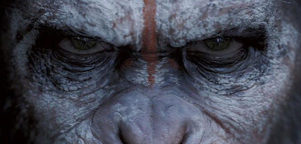 POSTER OF THE DAWN OF THE PLANET OF THE APES OF THE APES