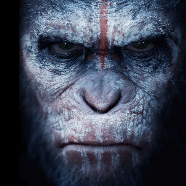 Full Trailer arrives for Dawn of the Planet of the Apes
