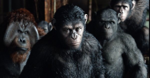 The Last, Best Trailer For ‘Dawn of the Planet of the Apes'