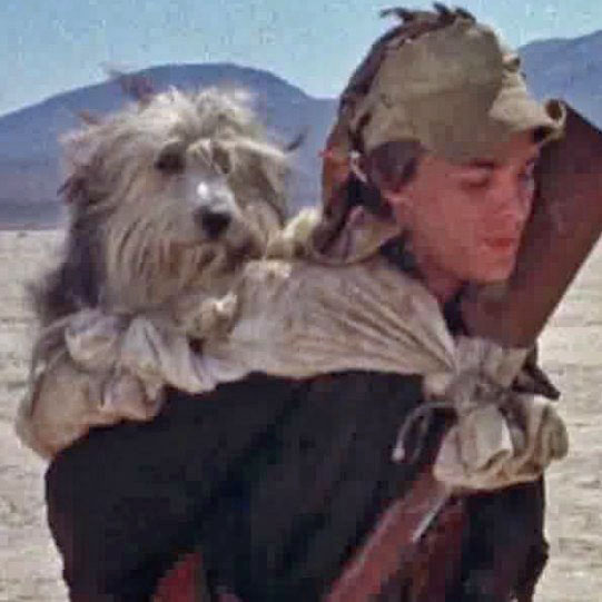 Doomsday Reels: A Boy And His Dog