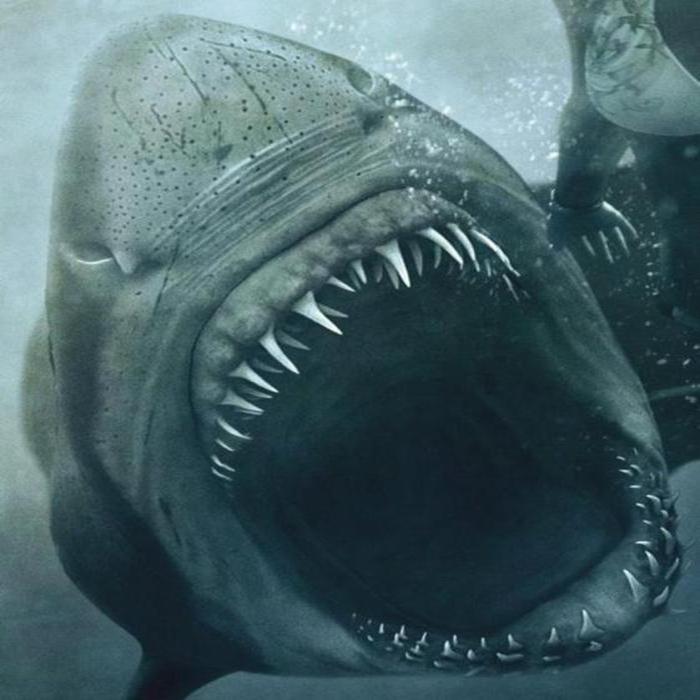FIN FLICKS: Shark Night 3D