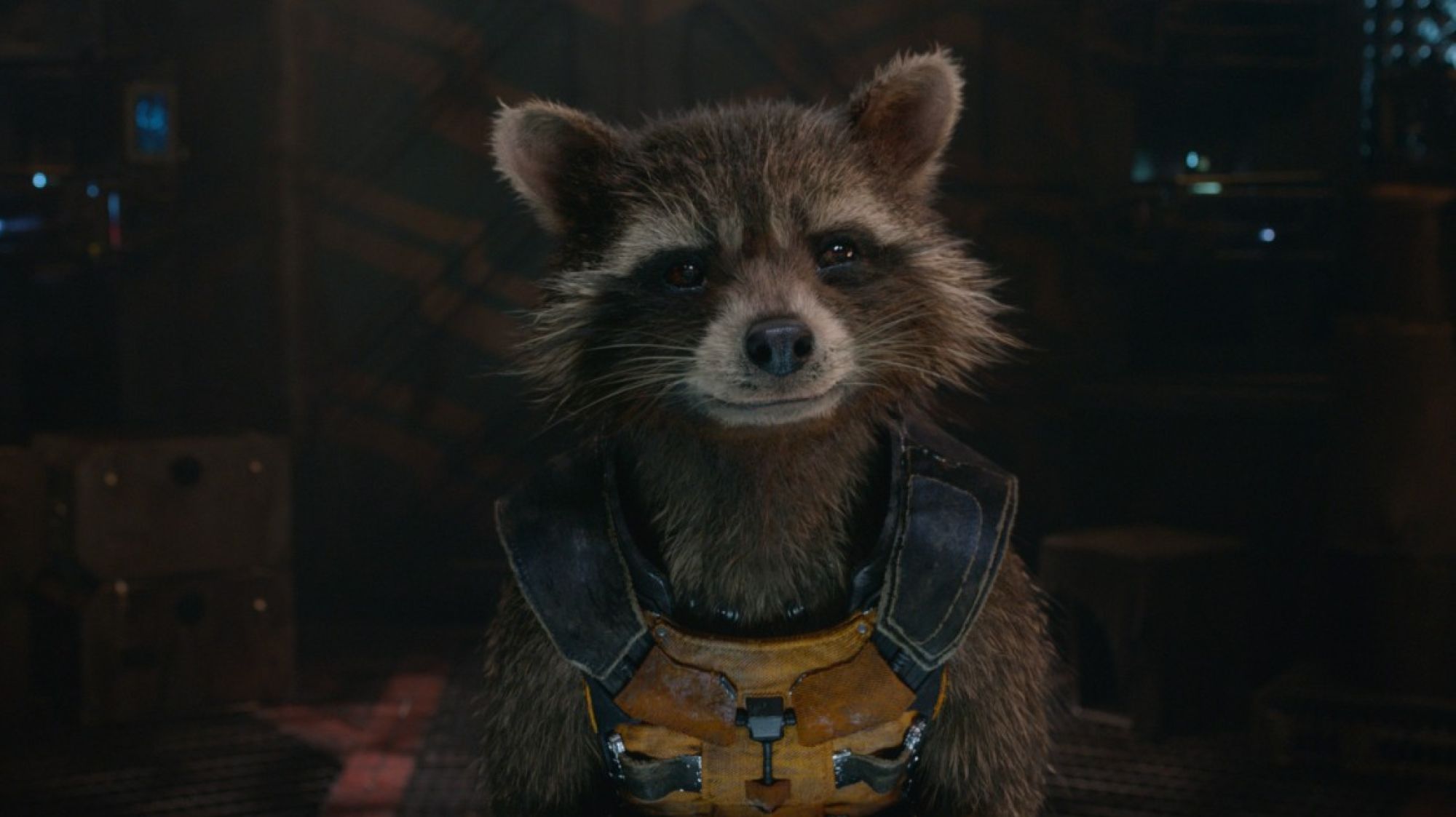 The Japanese Made A Robotic Raccoon And Asked It Questions About ‘Guardians Of The Galaxy'