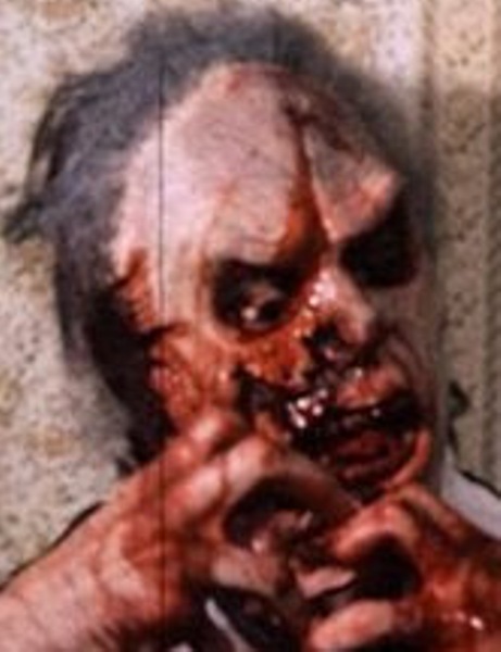 Doomsday Reels: The Dead Next Door