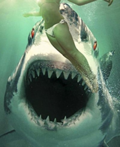 FIN FLICKS: Ghost Shark