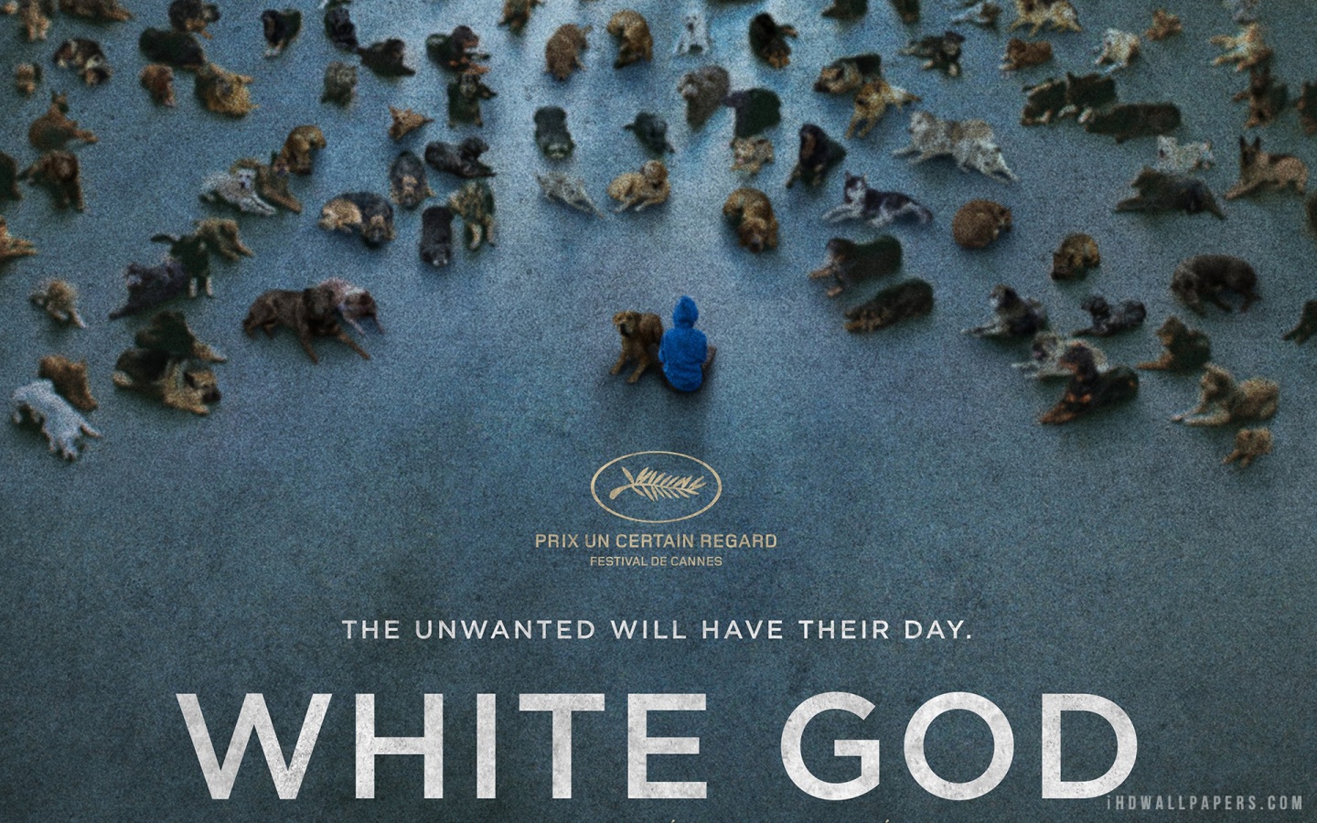 I, For One, Welcome Our New Canine Overlords With This Trailer For ‘White God'