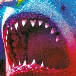 FIN FLICKS: Shark Attack