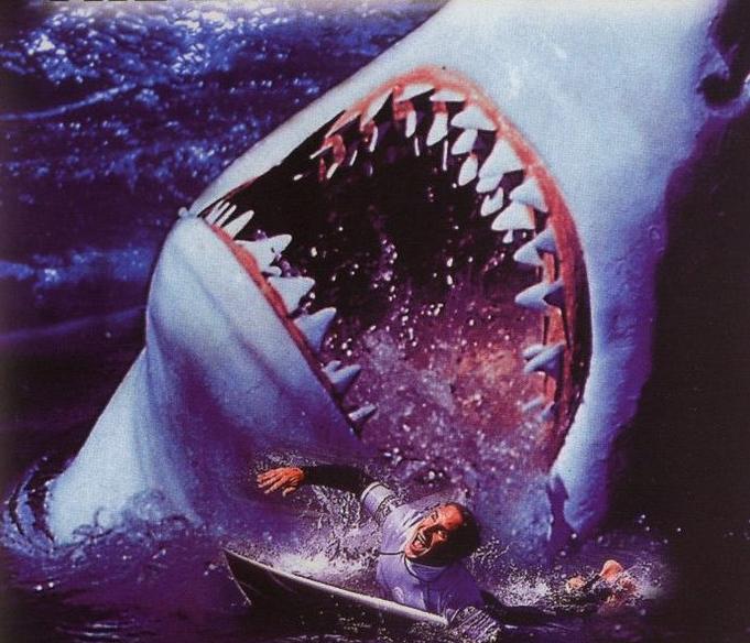 FIN FLICKS: Shark Attack 2