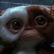 Once Again, We Are Threatened with a ‘Gremlins' Remake