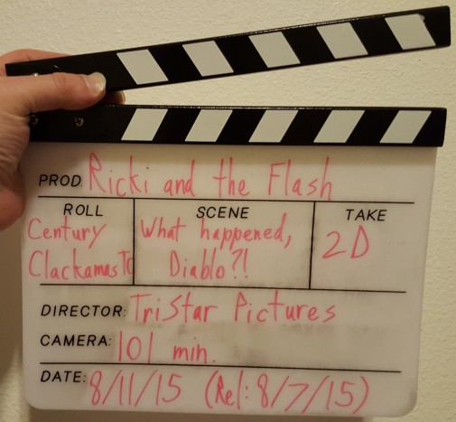 Movie Curiosities: Ricki and the Flash