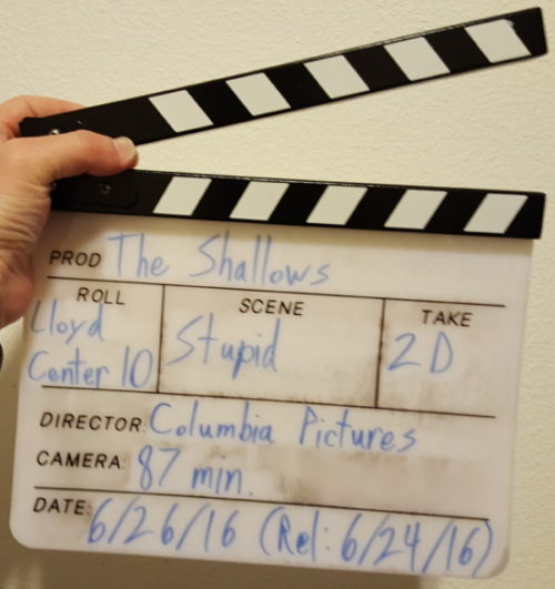 Movie Curiosities: The Shallows
