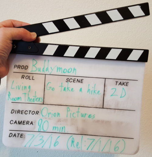 Movie Curiosities: Buddymoon