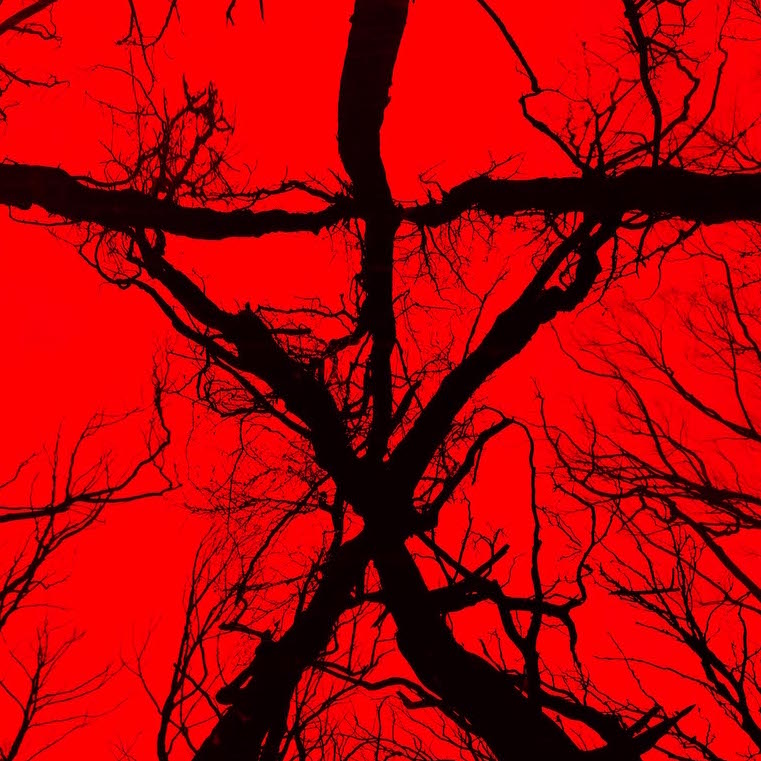 The Drew Reviews Podcast — Episode 101: BLAIR WITCH